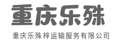 时效为王，我们说到做到-重庆乐殊梓运输服务有限公司